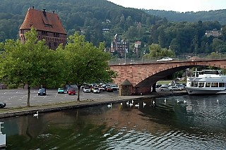 scenery along the Main River