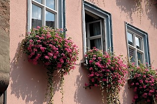  Werheim