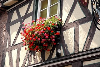  Werheim