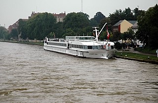 The Elegant Lady in Regensburg