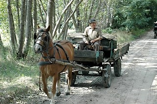 Hungarian cowboys