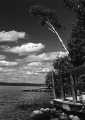 tn_muskoka-1
