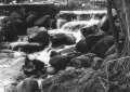 tn_rapids-2