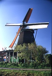 rhine004