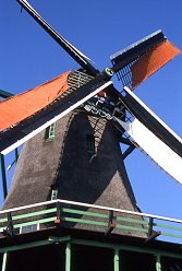 rhine007