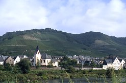 rhine091