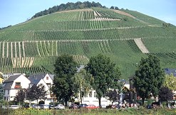 rhine125