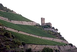 Rudesheim