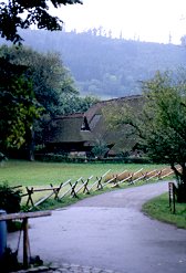 rhine278