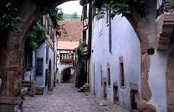 rhine308