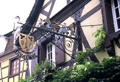 rhine325