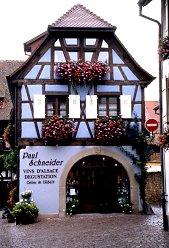 rhine350
