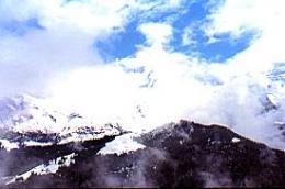 373swiss03
