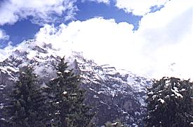 374swiss02