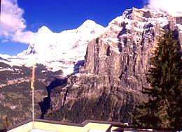 382swiss