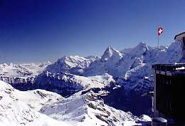 389Swiss