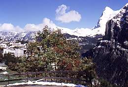 409Swiss