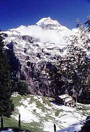 410Swiss