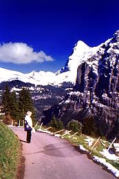 414swiss