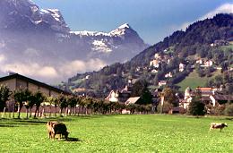 427swiss