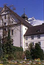 431swiss