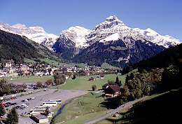 447swiss