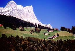 449swiss