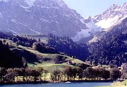 452swiss