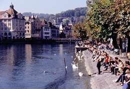 463swiss
