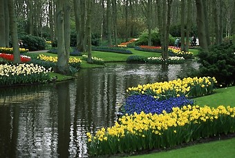 Keukenhof Gardens