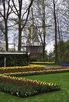 Keukenhof Gardens