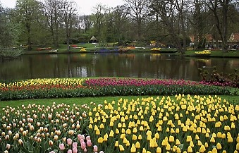 Keukenhof Gardens