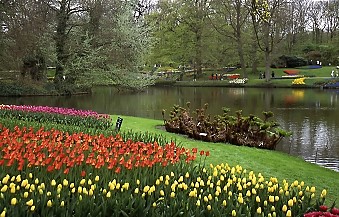 Keukenhof Gardens
