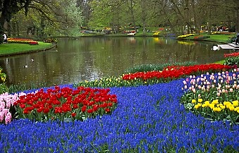 Keukenhof Gardens