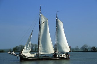 Hoorn