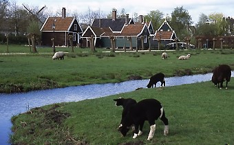 Zaanse Schans